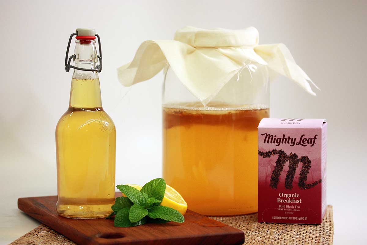 Organic Breakfast Tea Kombucha Recipe